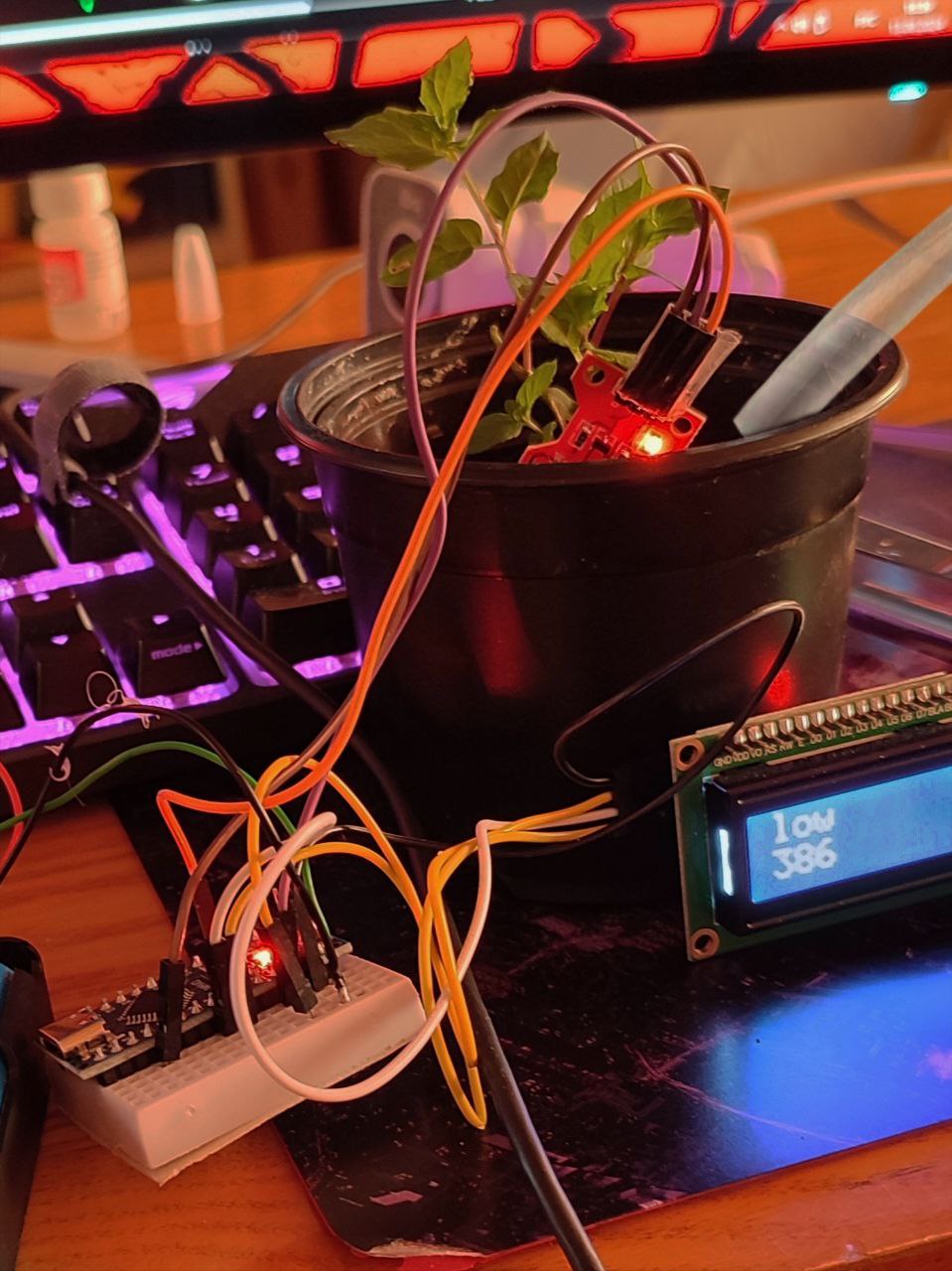 AutomaticWateringIcon